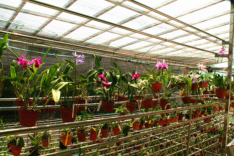 2012-9-25 003_.jpg