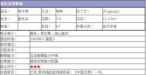 电子表月季